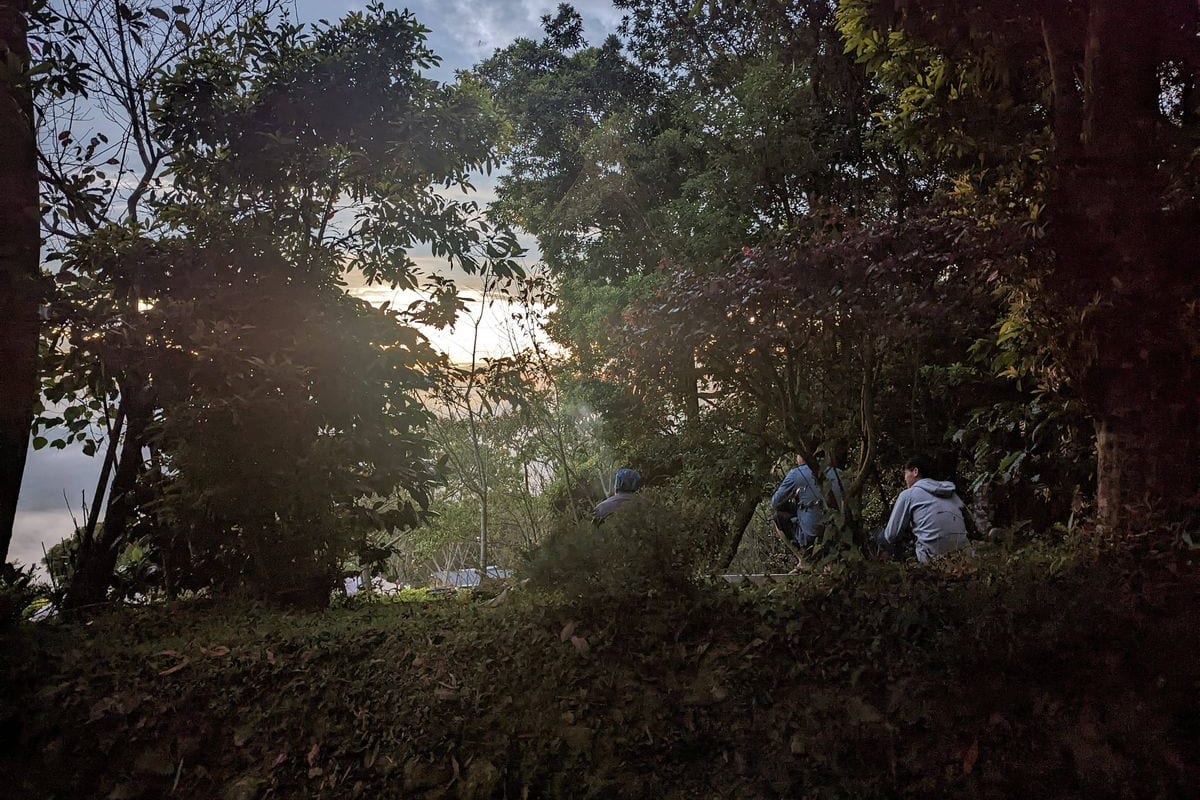 傍晚的樹林邊,幾個人坐在草地上,背對著鏡頭
