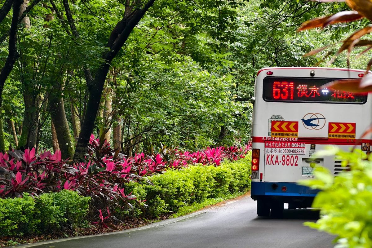 一輛公車開在樹興里兩旁都是樹的山路上